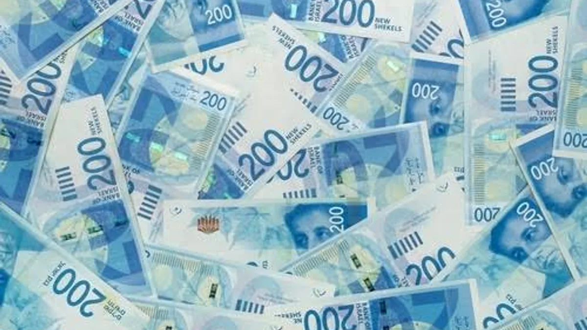 ערימת שטרות של 200 שקלים חדשים פרושים זה על זה, ממחישה את עלות הקמת חנות אינטרנט